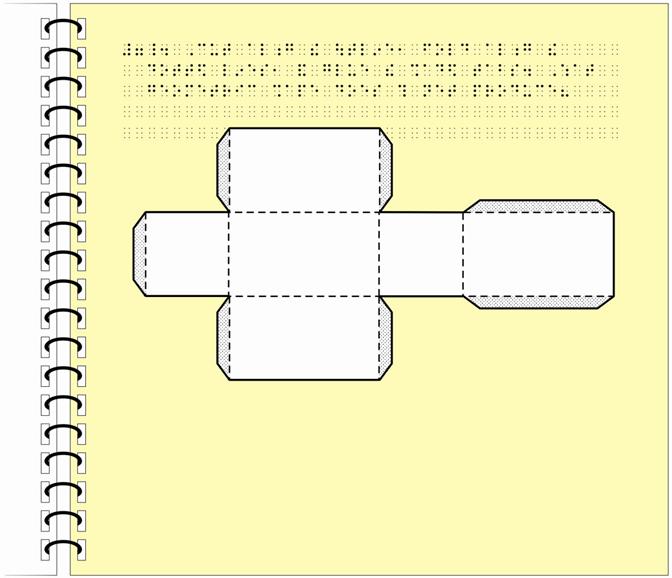 Image: Nets tactile graphic with simbraille